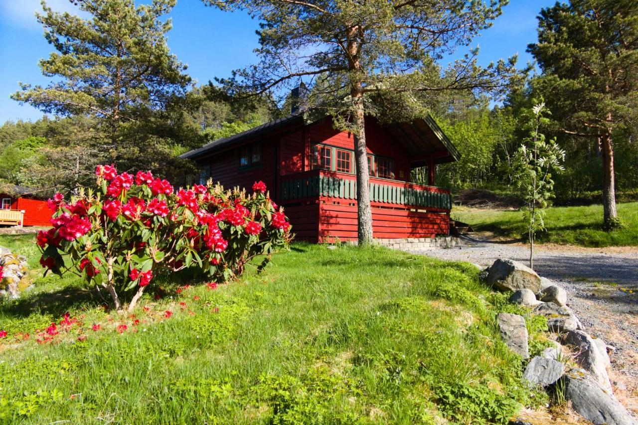 Sjoholt Camping Lodge